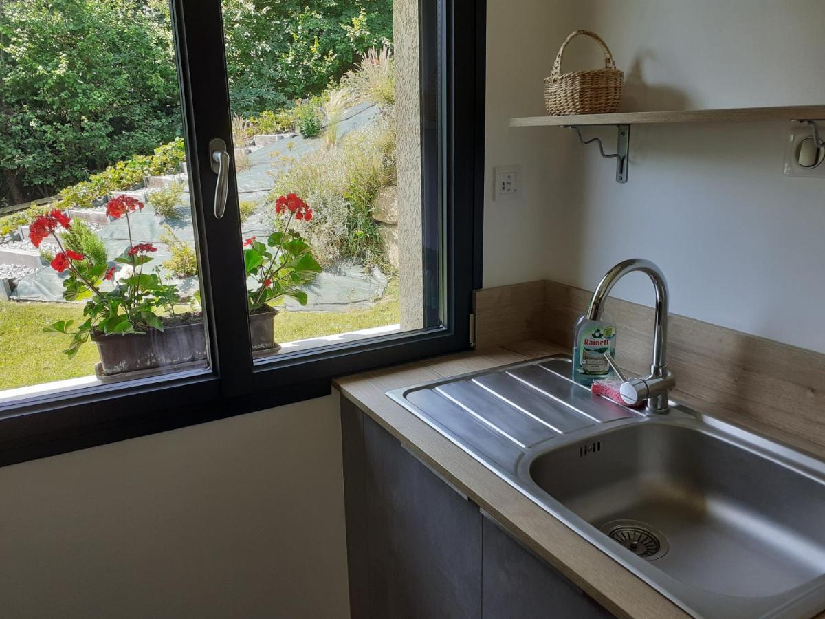 Appartement En Rez De Jardin Thénésol Exterior foto
